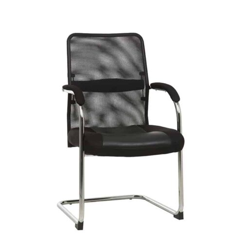 Ice Visitors Chair