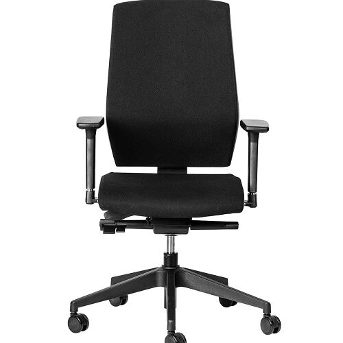 Lux Orthopedic Chair