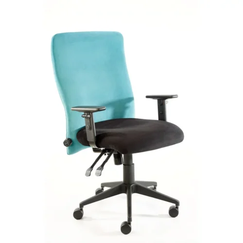 Lumbar Pro Medium Back