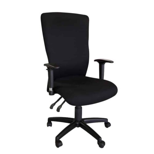 Spine Ergonomic High Back