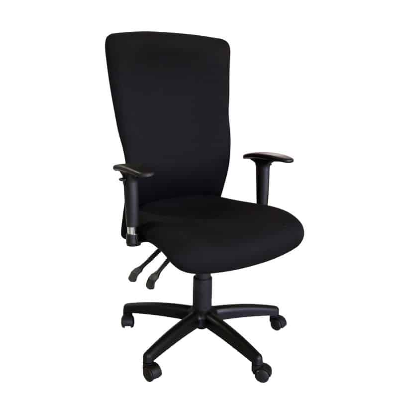 Spine Ergonomic High Back