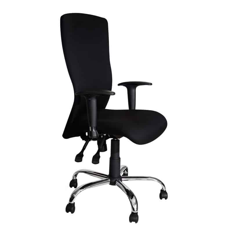 Spine Ergonomic High Back